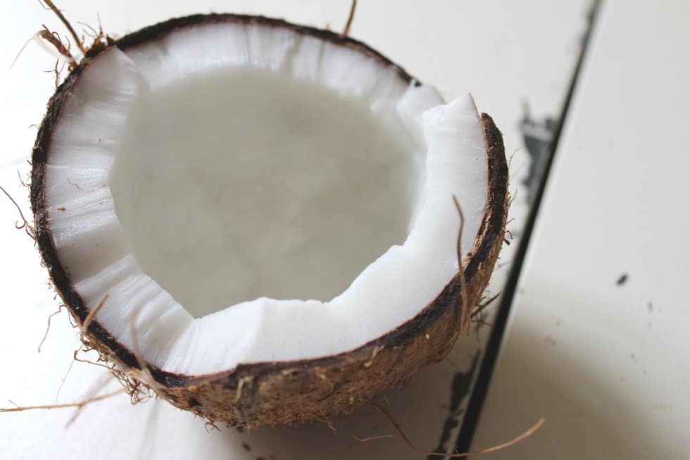 Alleskoenner Kokosoel